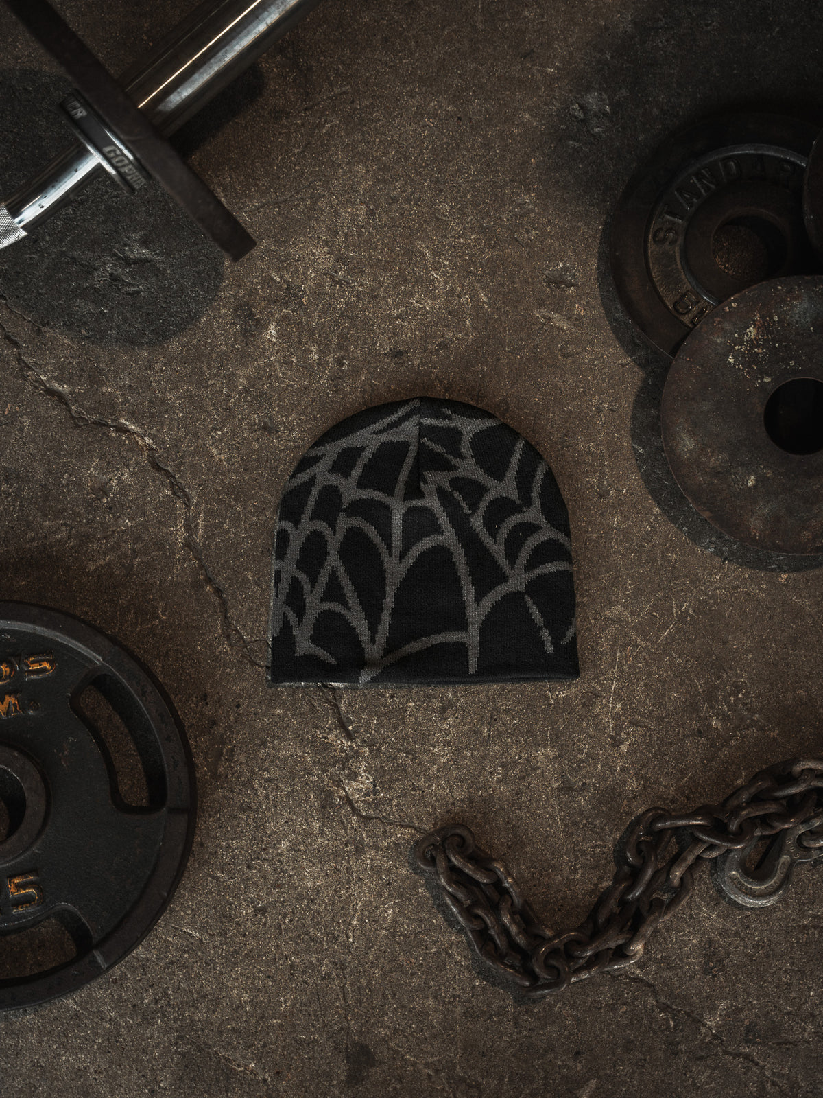Tonal Web Skull Beanie