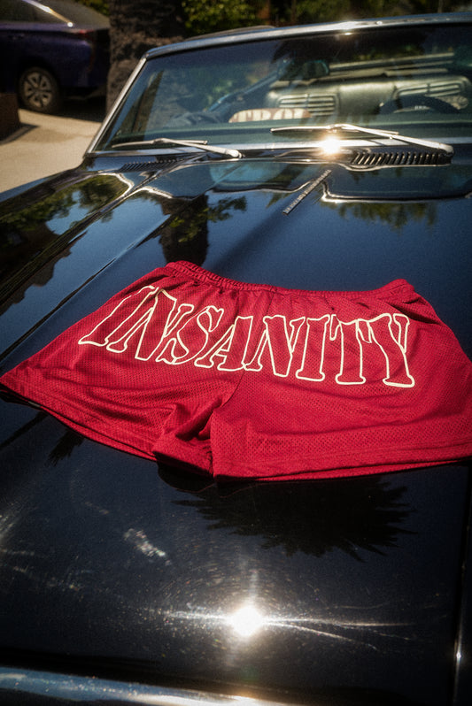 Cherry Red Mesh 3.5" Seam Shorts