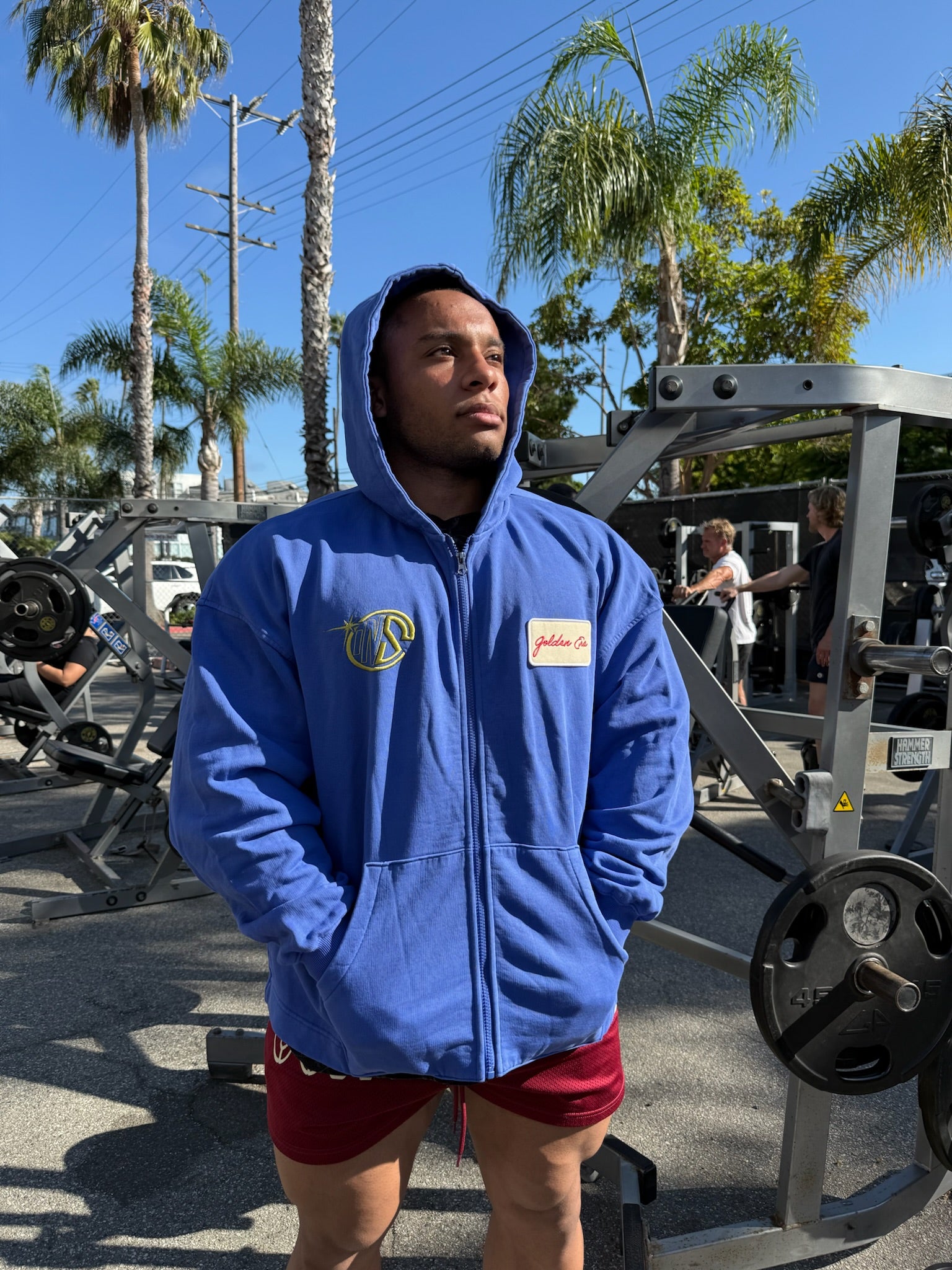 Royal Blue Vintage Washed Zip Up Hoodie – Controlled Insanity
