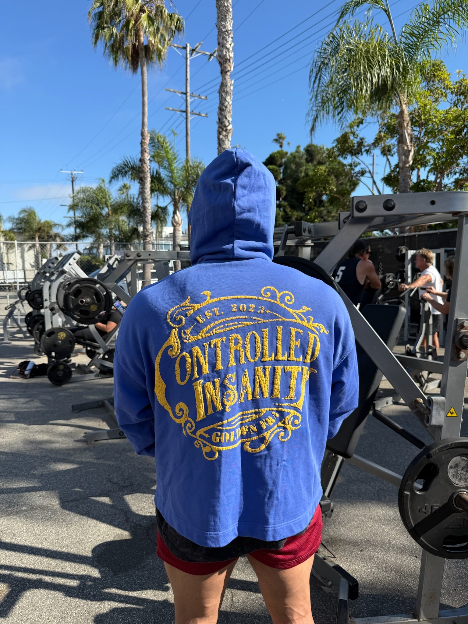 Royal Blue Vintage Washed Zip Up Hoodie – Controlled Insanity